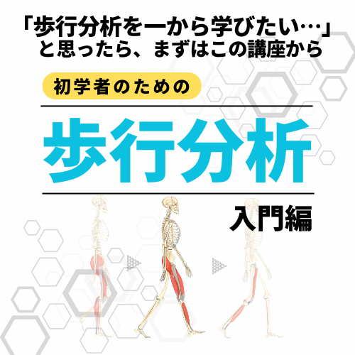 🚶‍♂️ 初学者のための歩行分析［入門編］ 「歩行分析は難しい…」を