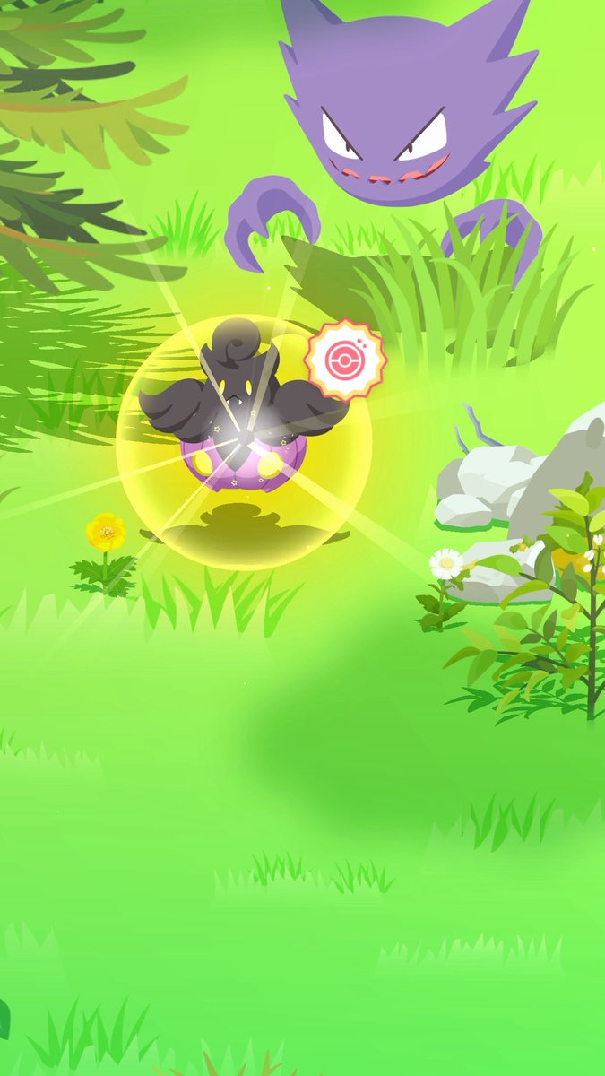 PKMNcast tweet media