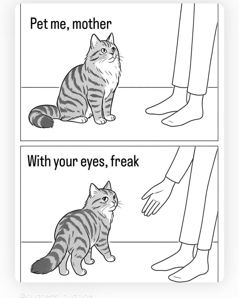 New Save tweet media