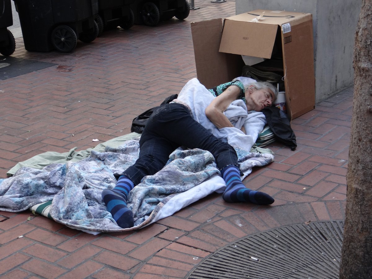 OVC16. Geef nooit op. PVV stemmer tweet media