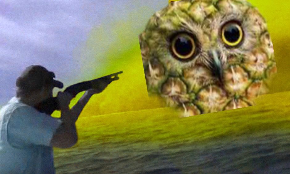 MOG ETF (🍍,🦉) tweet media