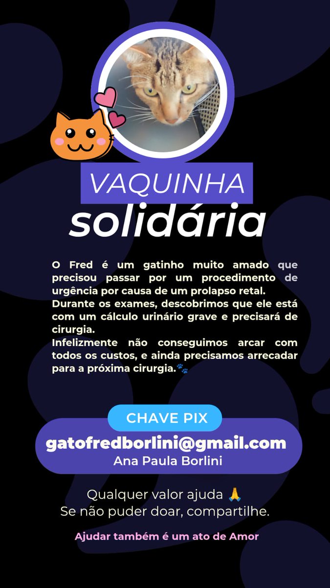 Oi gente!!! Não é algo que posto geralmente, mas estamos precisando de ajuda
Meu gatinho recentemente teve um prolapso e precisa de cirurgia, mas a gente tá ficando sem dinheiro para conseguir pagar o veterinário
Por isso, minha família abriu vaquinha!! Quem puder ajudar... 🙏