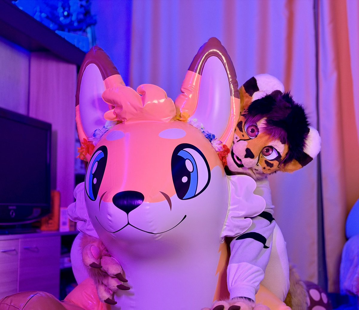 Richie🐾•:ʔᴥʕ:• tweet media