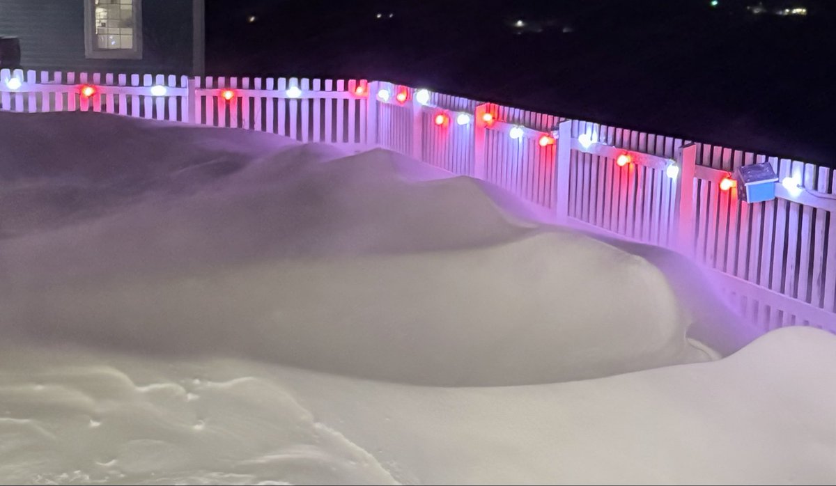 the quiet life 🇨🇦 🫐🐋🐾🏴󠁧󠁢󠁳󠁣󠁴󠁿🐳🫎🦭🍁🦅 tweet media