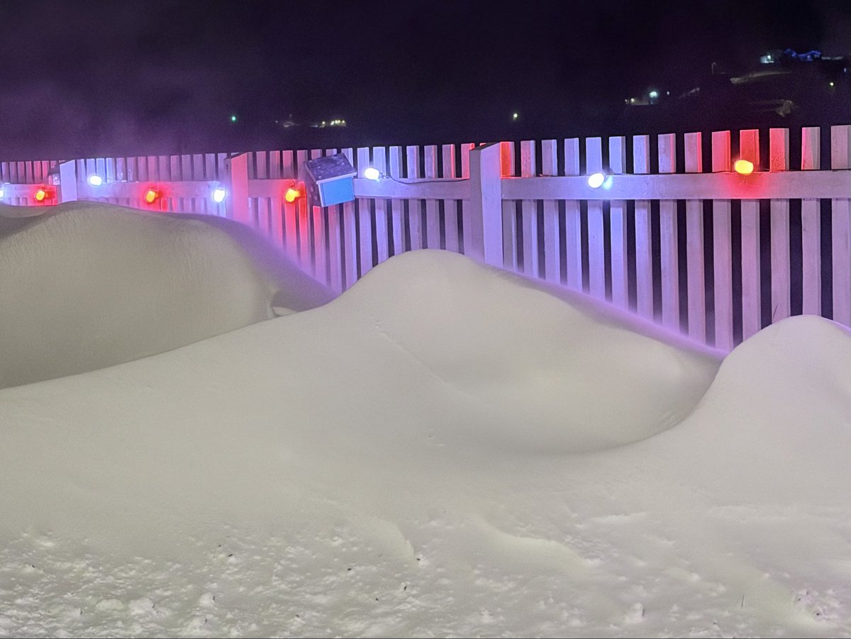 the quiet life 🇨🇦 🫐🐋🐾🏴󠁧󠁢󠁳󠁣󠁴󠁿🐳🫎🦭🍁🦅 tweet media