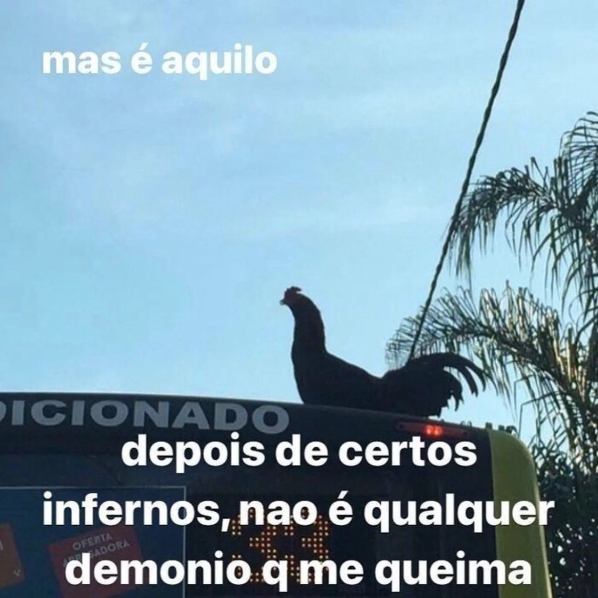 paginalixo1's tweet image. 