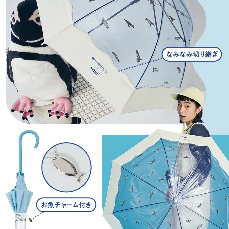 honey_donuts's tweet photo. すみペンコラボのビニ傘かわええ🐧☂️🩵 https://t.co/sxlFddPj32
