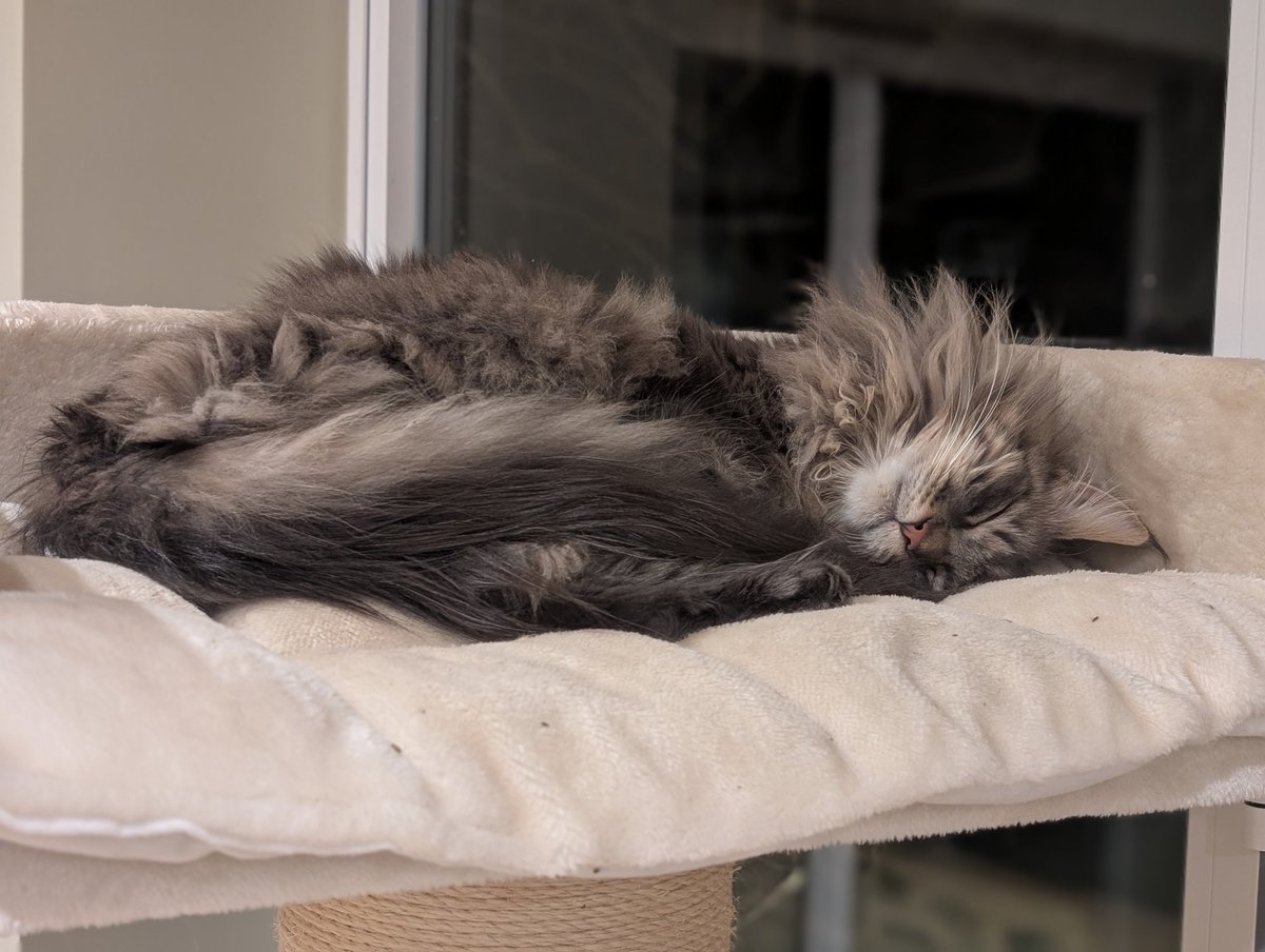 For peace comes dropping slow.