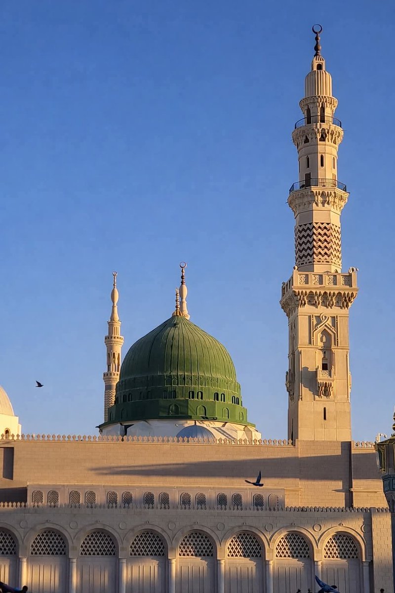 السّلَامُ عَلیکمُ 

صبـــح بخـــیر ایمان بخیر

آپ ﷺ جب چلتے تو تھوڑا آگے جھک
 کر وقار کے ساتھ چلتے، گویا کسی 💯
ڈھلوان سے اتر رہے ہوں ۔ 🥀💖🌹

سبحان اللہ وبحمدہ سبحان اللہ العظیم 

اے میرے کریم صلی اللہ علیہ وآلہ واصحابہ وبارک وسلم تسلیما کثیرا کثیرا 🥰💖