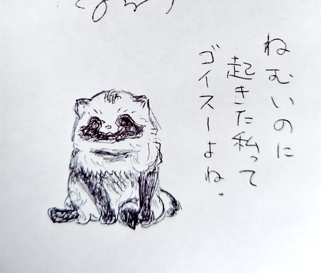 この後座ったまま寝る #タヌキ