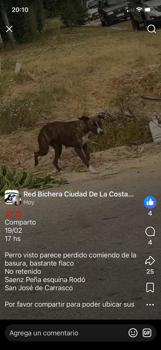 Adriana (@adriana43587622) on Twitter photo 