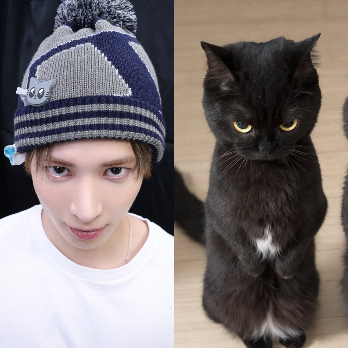 find the difference!!
