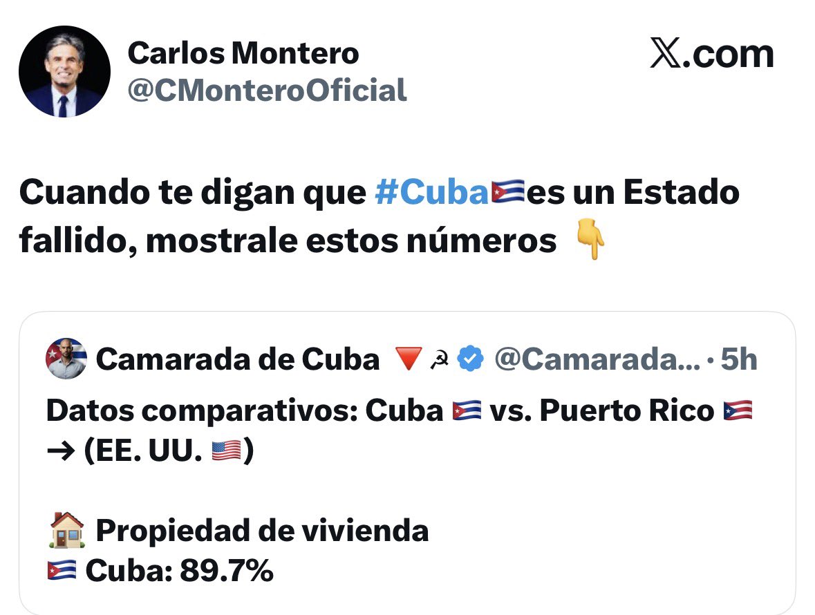 Mayra Dominguez tweet media