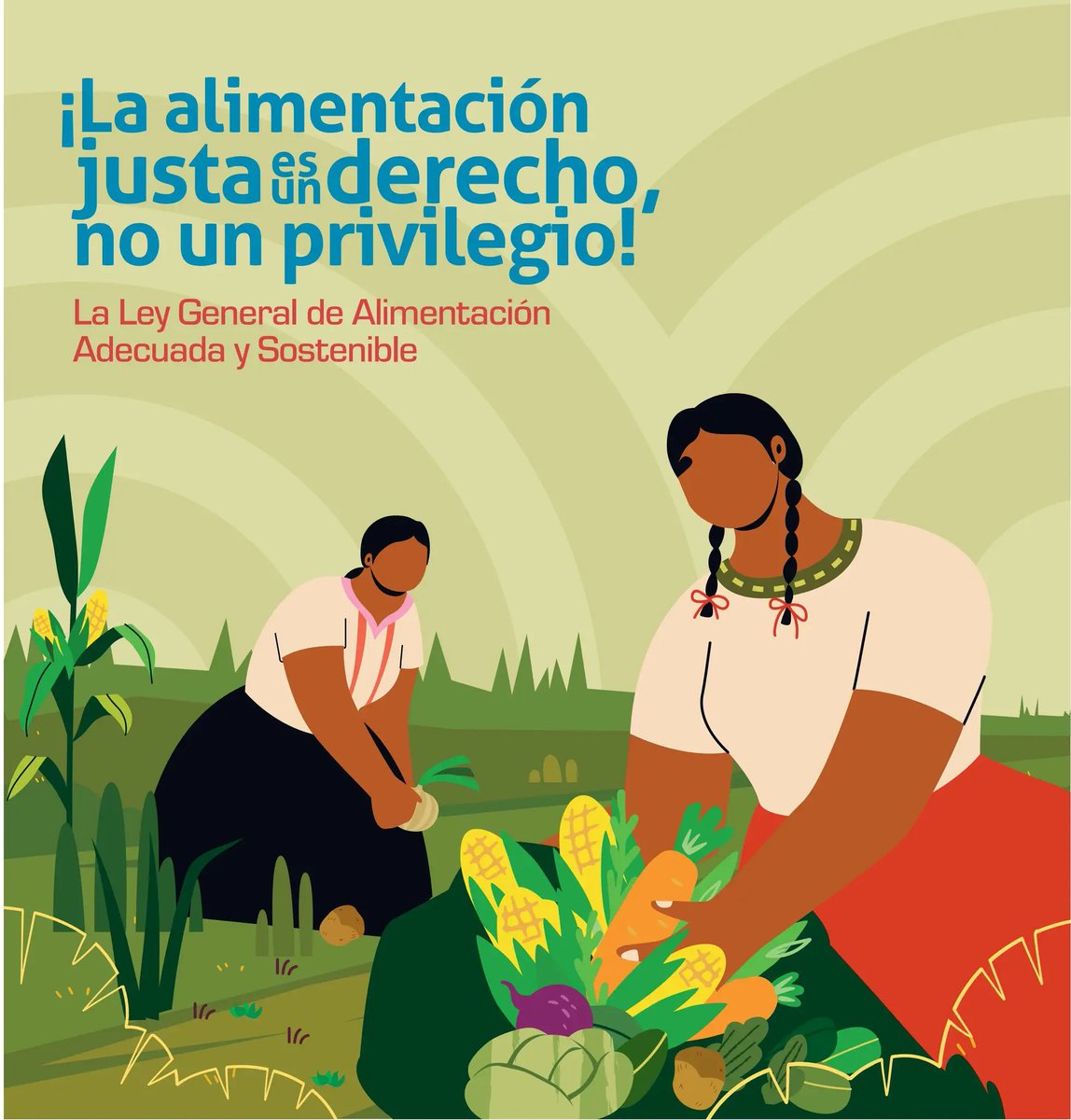actuaporlasalud's tweet photo. ¡Nuestro sistema alimentario está en crisis!
Se privilegia la agroindustria y el uso de plaguicidas peligrosos.
La #LGAAS propone proteger nuestros ecosistemas, apoyar a productores locales y asegurar reservas de #semillasnativas.
Conoce más en este #fanzine👇 https://t.co/Cs6lIbSjER