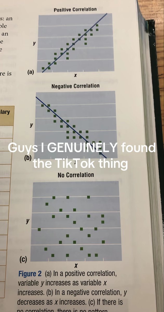 ‧˚꒰🐇꒱ rai / ari ♬˚ 𝄢 tweet media