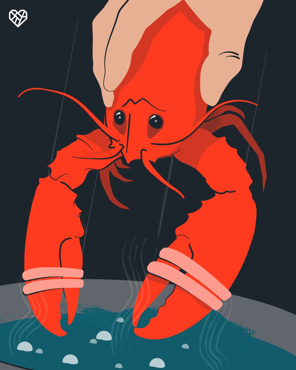 The scientific evidence is clear: crustaceans feel pain intensely. Yet still so many are boiled alive each day 😢 Join the movement to protect these sensitive beings from unnecessary suffering: thl.link/4tJOTND 🦞