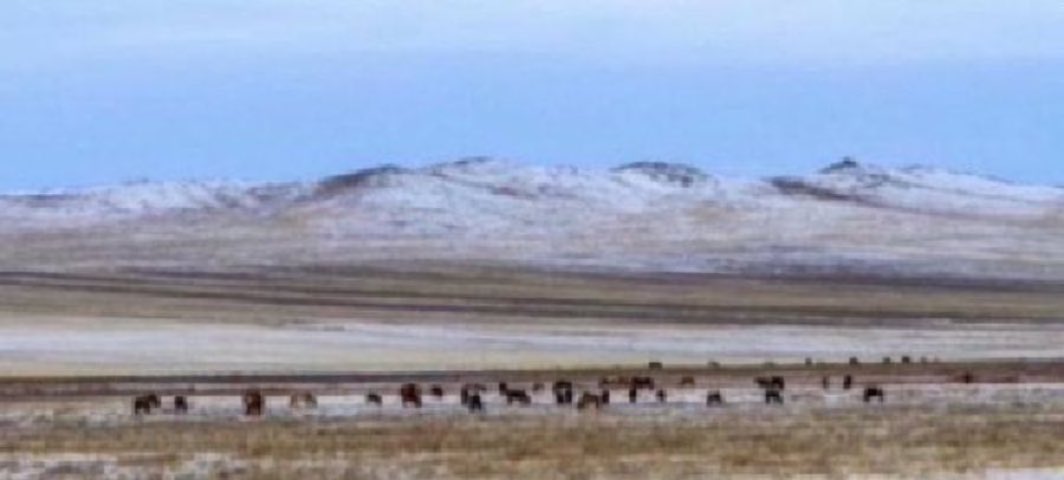 nganbyamba's tweet image. Хаврын тэргүүн сарын шинийн 3-ны ӨДРИЙН МЭНД ЭЭ