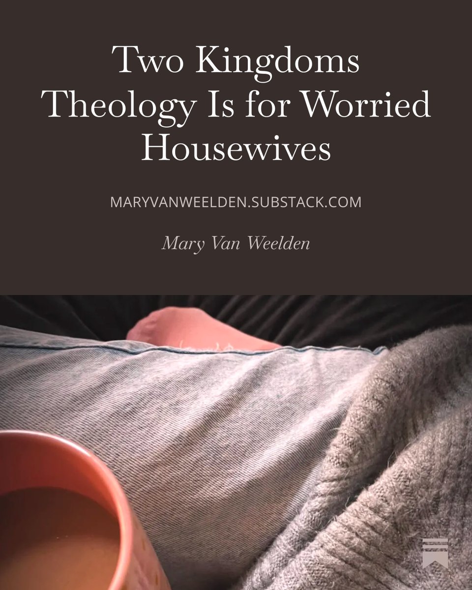 open.substack.com/pub/maryvanwee…