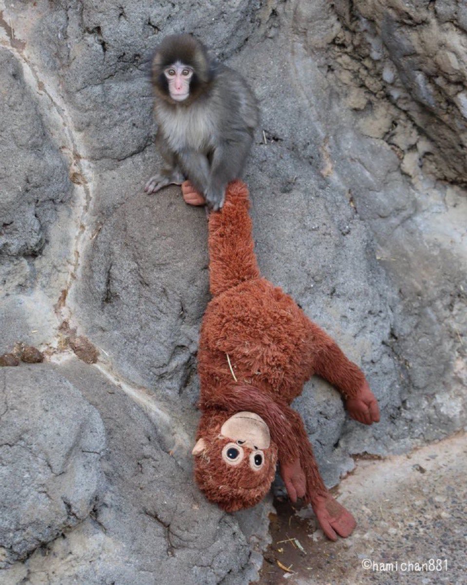 sty (@stygaa_) on Twitter photo 