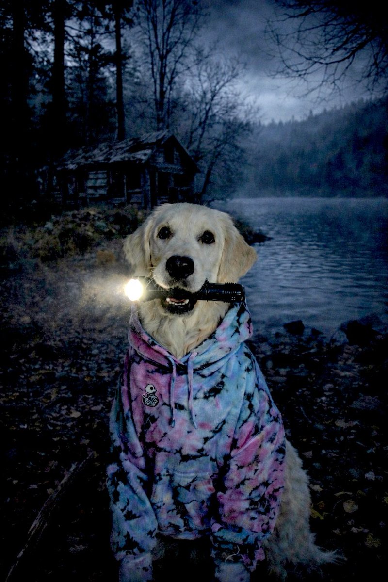 Skylar McAllister tweet media