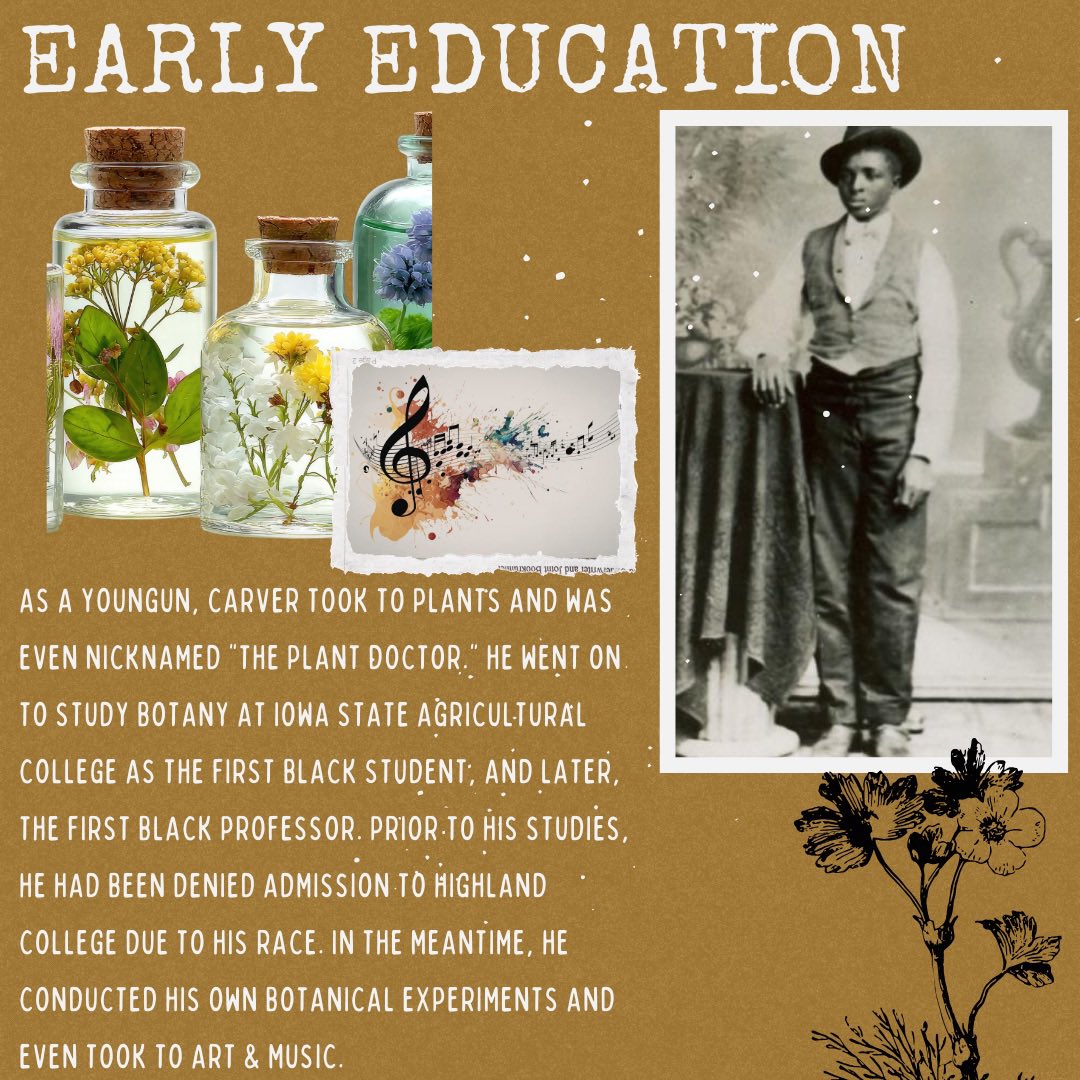 Compost Fairy 🌿🧚🏾🤎 tweet media