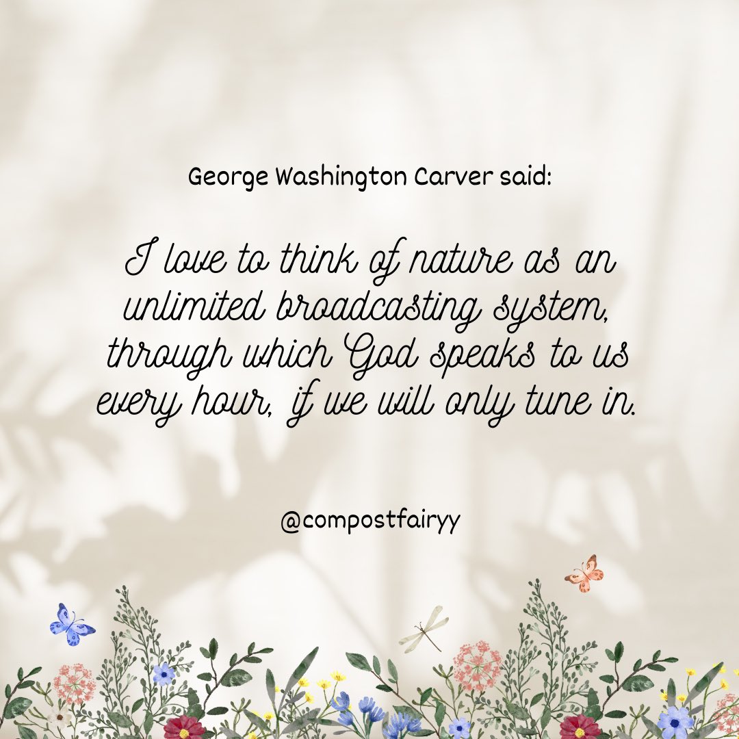 Compost Fairy 🌿🧚🏾🤎 tweet media