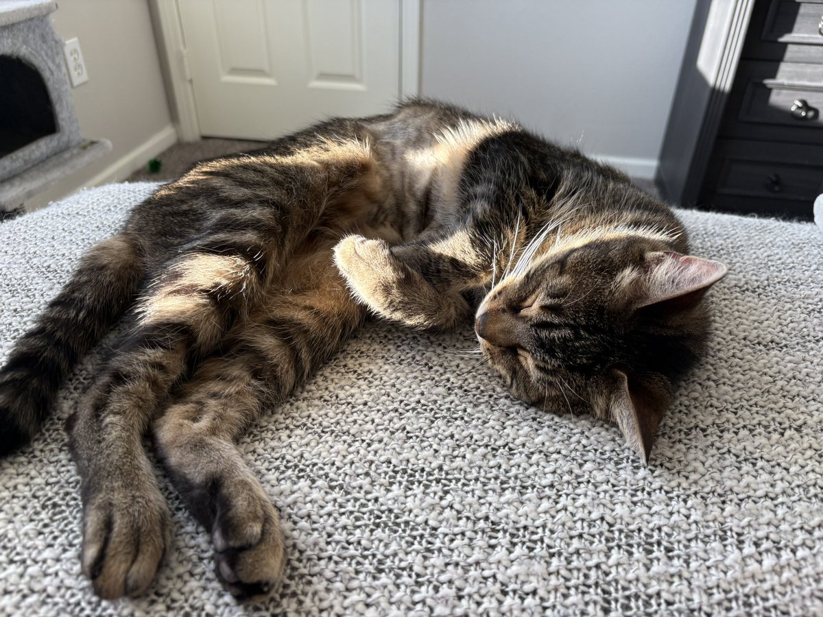 Art vs Artist. 

Yes. I’m a cat. I boop the keys with my
Nose. 
#ArtistOnTwitter #ArknightsFanArt