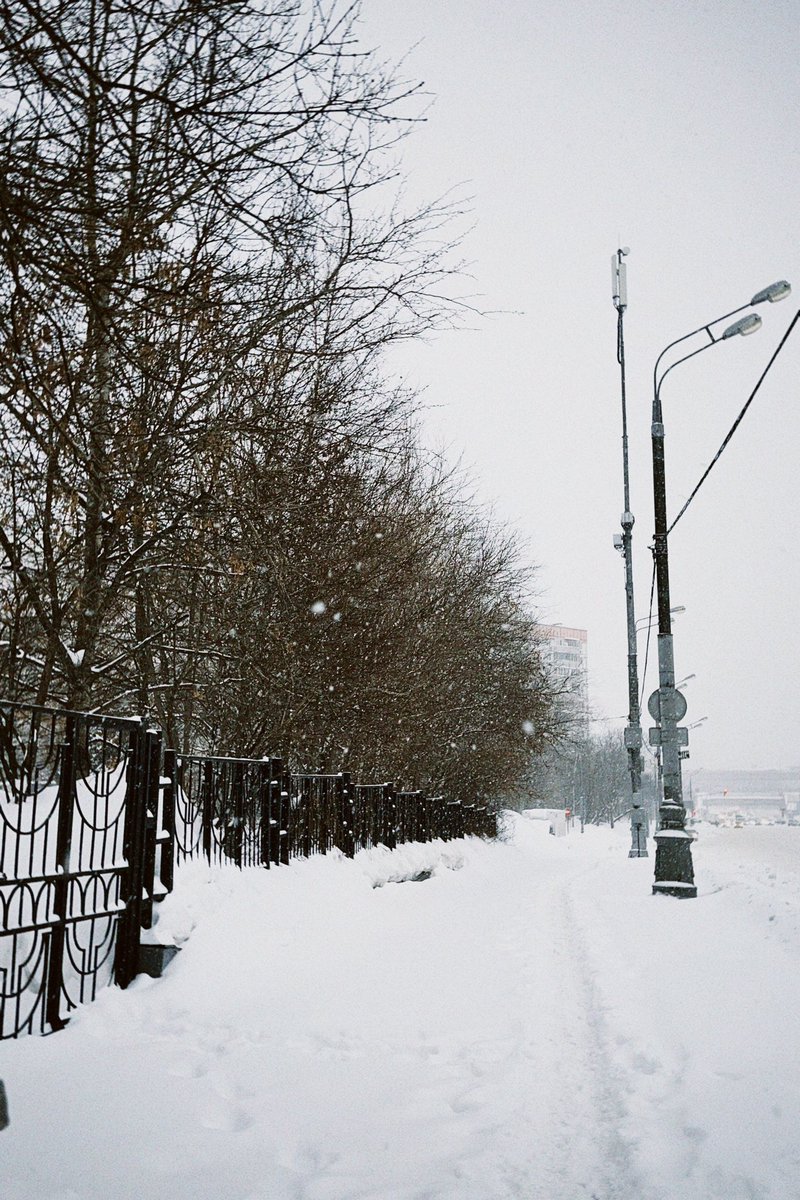 Nikita Uspenskaya tweet media