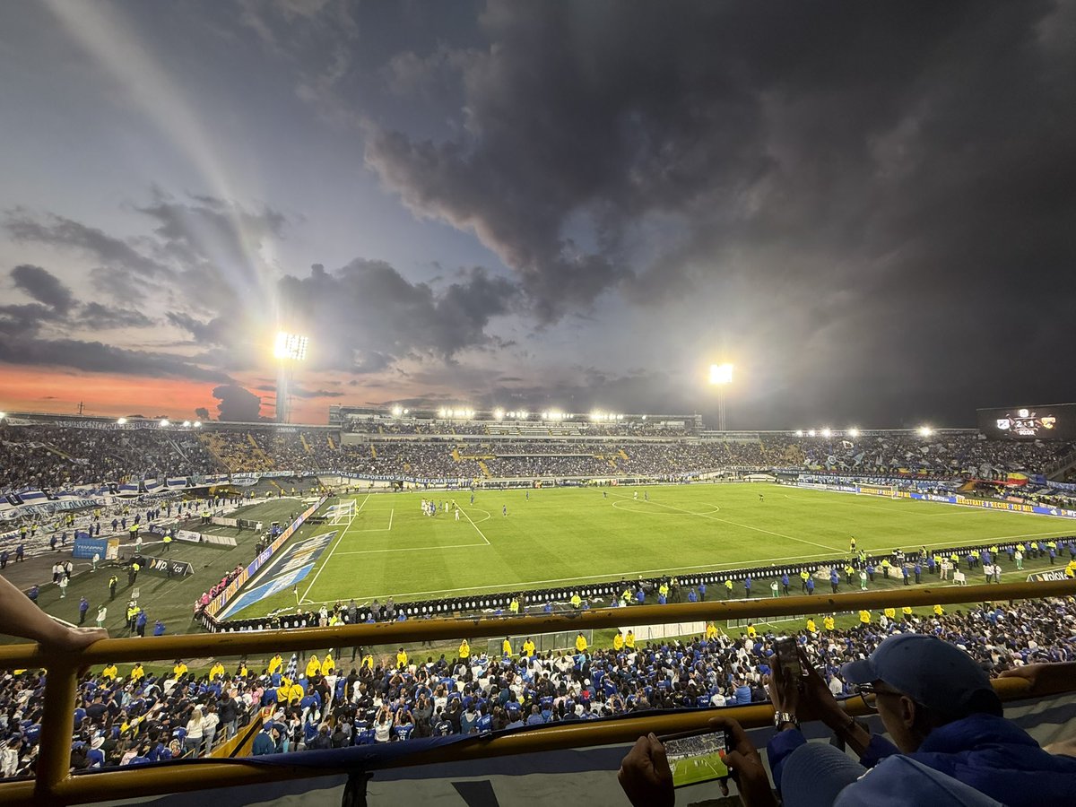 •🌻• tweet media