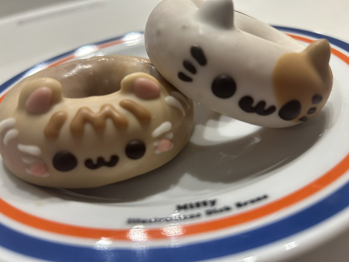 バレンタインにアニスくんがねこちゃんドーナツ送ってくれたの