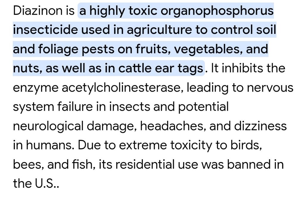 TEAM SLAMOLA tweet media