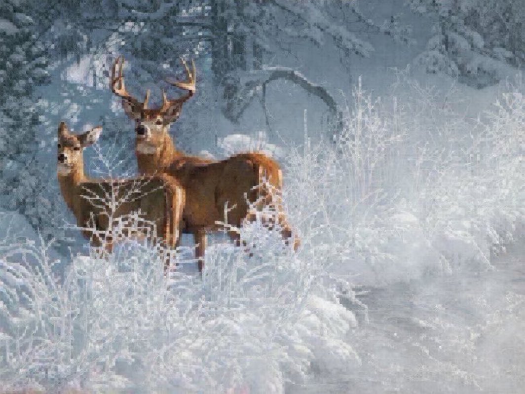 ShJargalsaikhan's tweet image. Хаврын тэргүүн сарын шинийн 3-ны өдрийн мэнд ээ