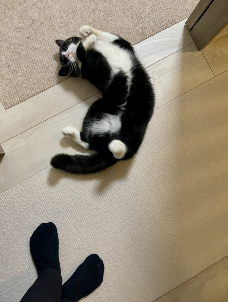 たろう (@taro20216) / Posts / X