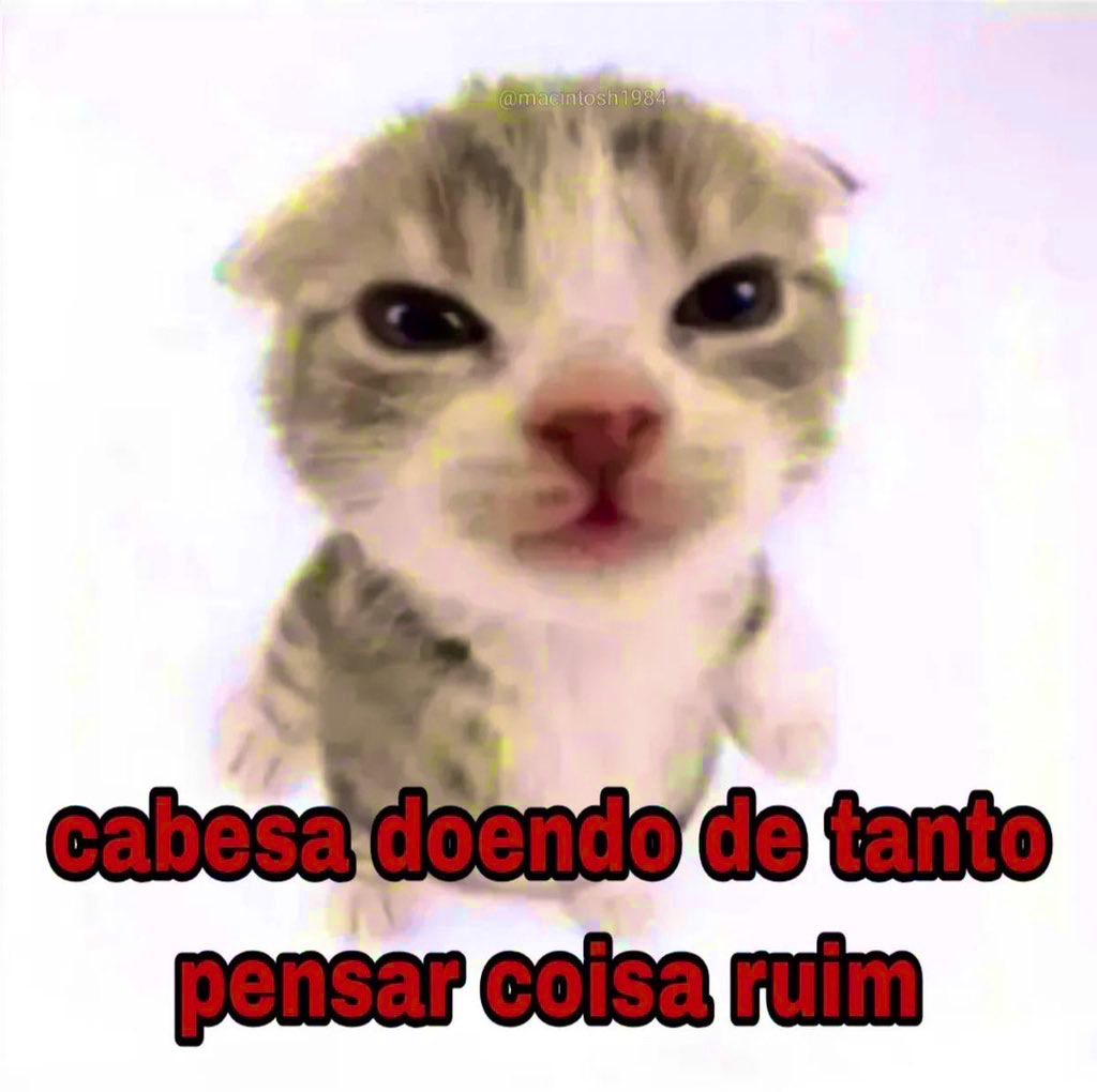 willwill 🚨 (@iamwillwill) on Twitter photo 