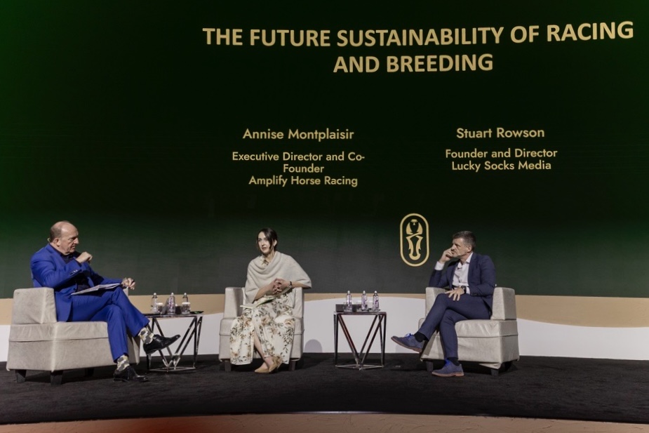 Amplify Horse Racing tweet media