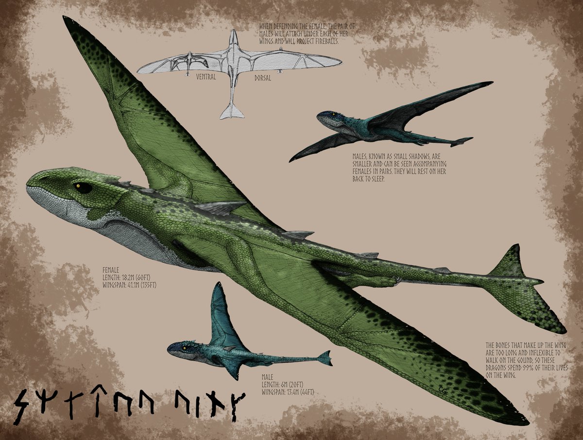 Carter Gatewood tweet media