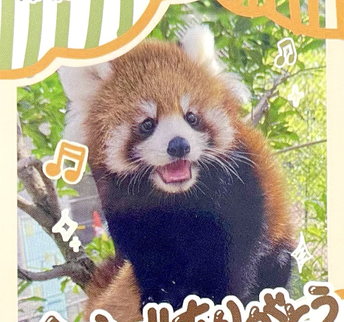 redpanda_kazu (@Kazu785) / Posts / X