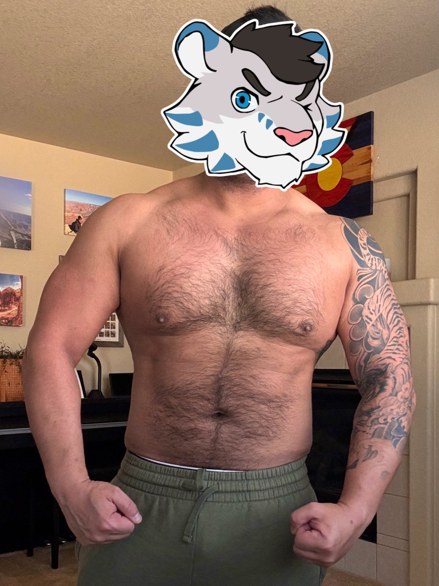 TigerSquat's tweet photo. chonk https://t.co/p0sVJwl2xn
