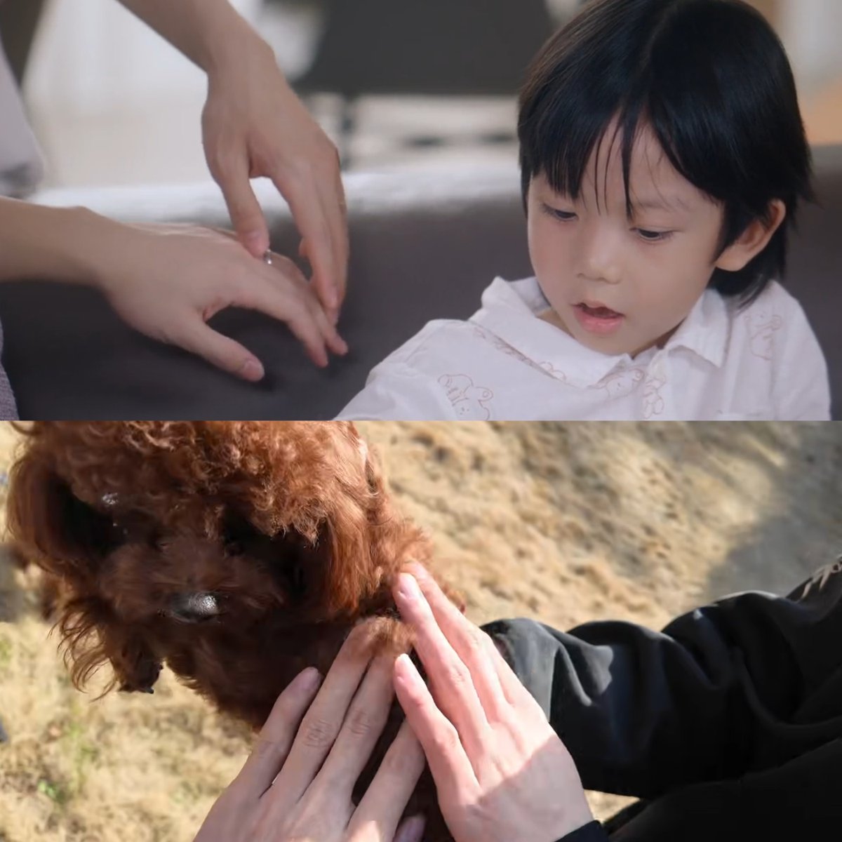 when your bl couple wins both in reel life &amp; in real life