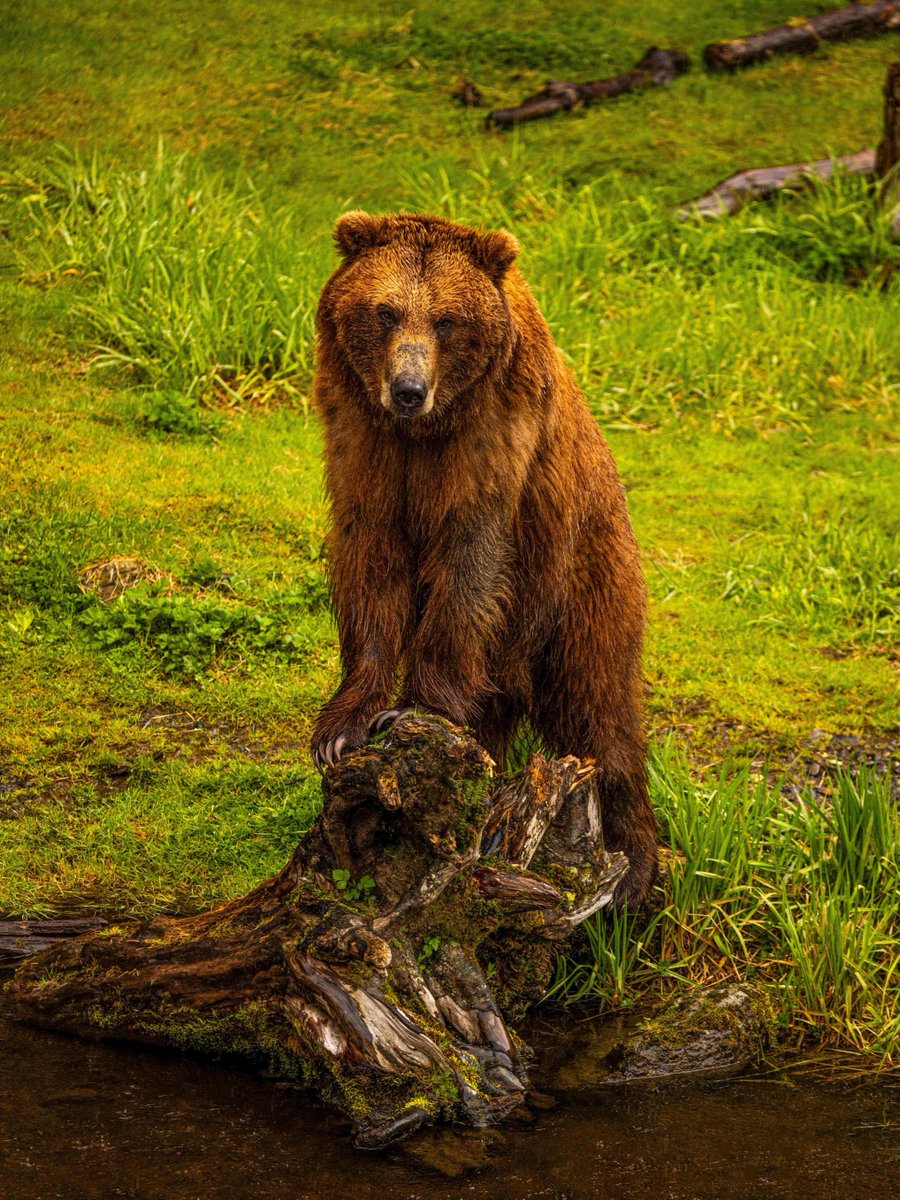 Princess Cruises tweet media