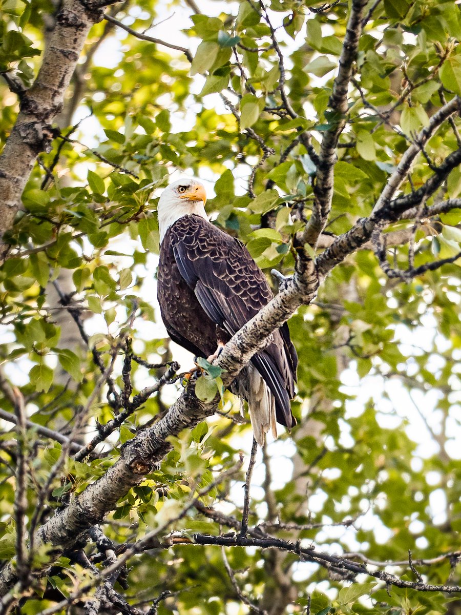 Princess Cruises tweet media