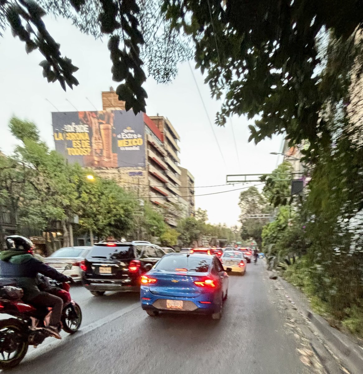 RIP 💀 el bus-bici de Av Yucatán (Eje 3 Pte).

Cortesía de la incompetente de <a href="/ClaraBrugadaM/">Clara Brugada Molina</a> y la <a href="/SOBSECDMX/">Secretaría de Obras y Servicios CDMX</a> de Basulto.

Un tramo pasa enfrentito de <a href="/LaSEMOVI/">Secretaría de Movilidad CDMX</a> por cierto.