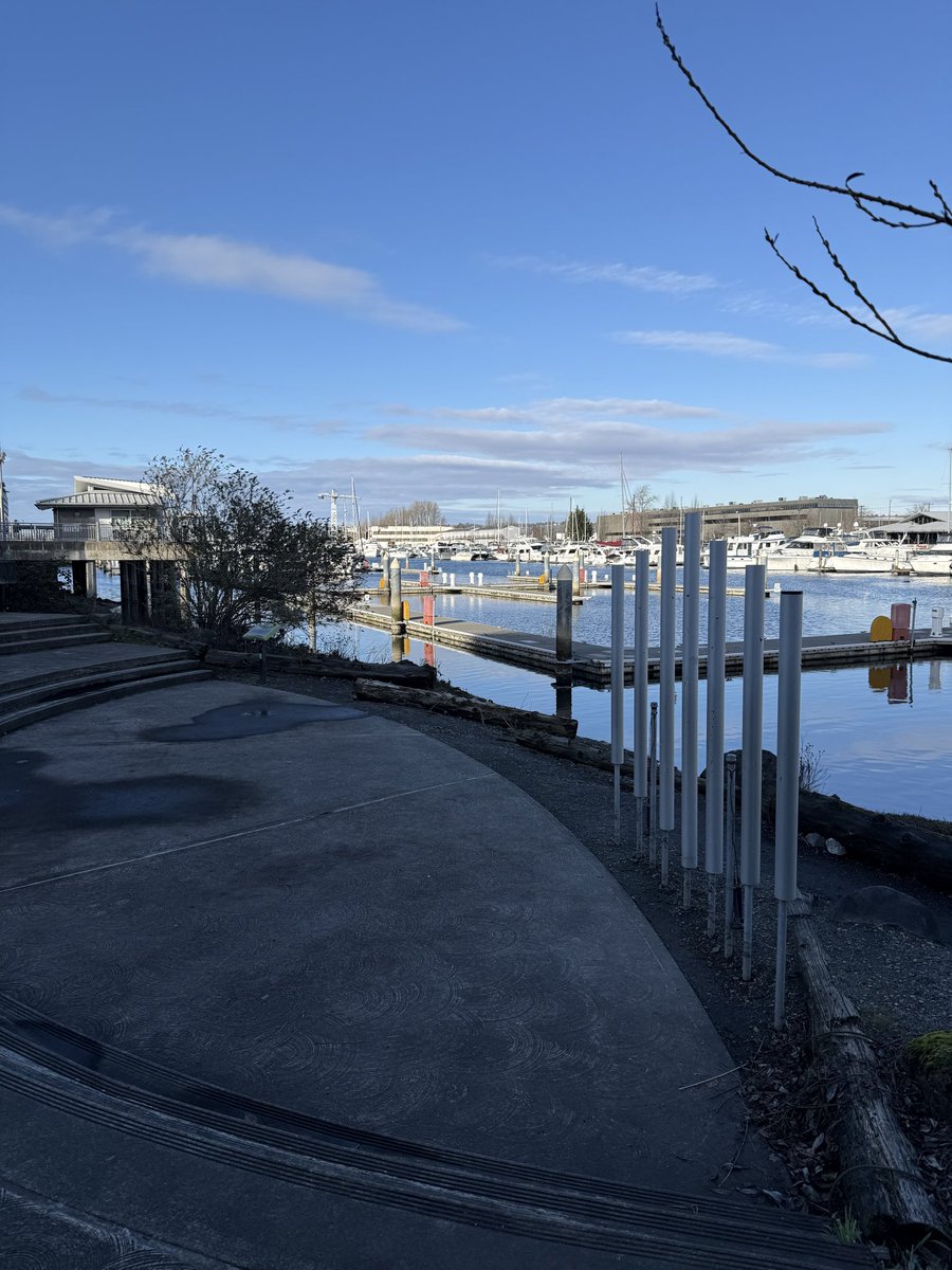 Mia Ireland tweet media