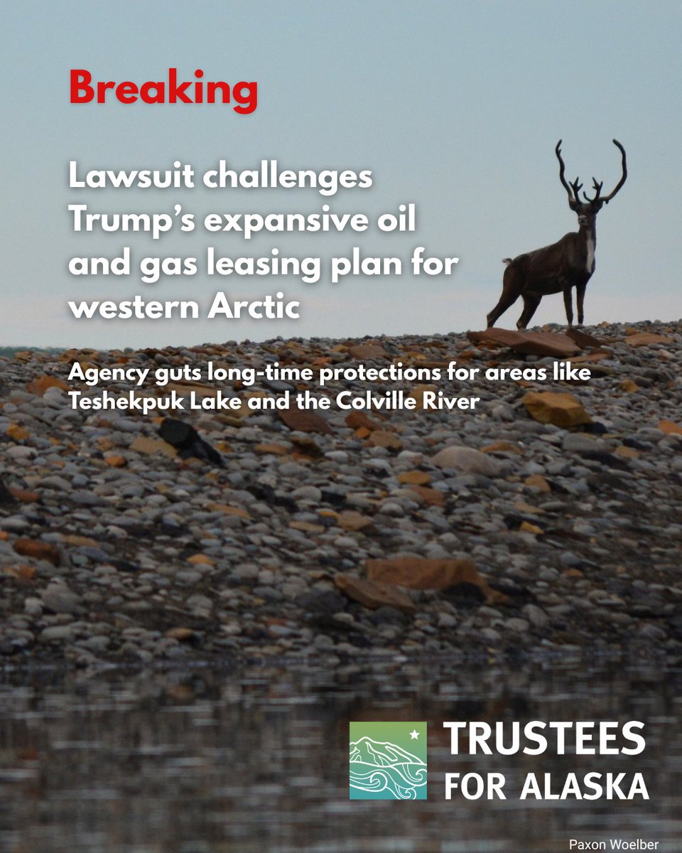 Trustees for Alaska tweet media