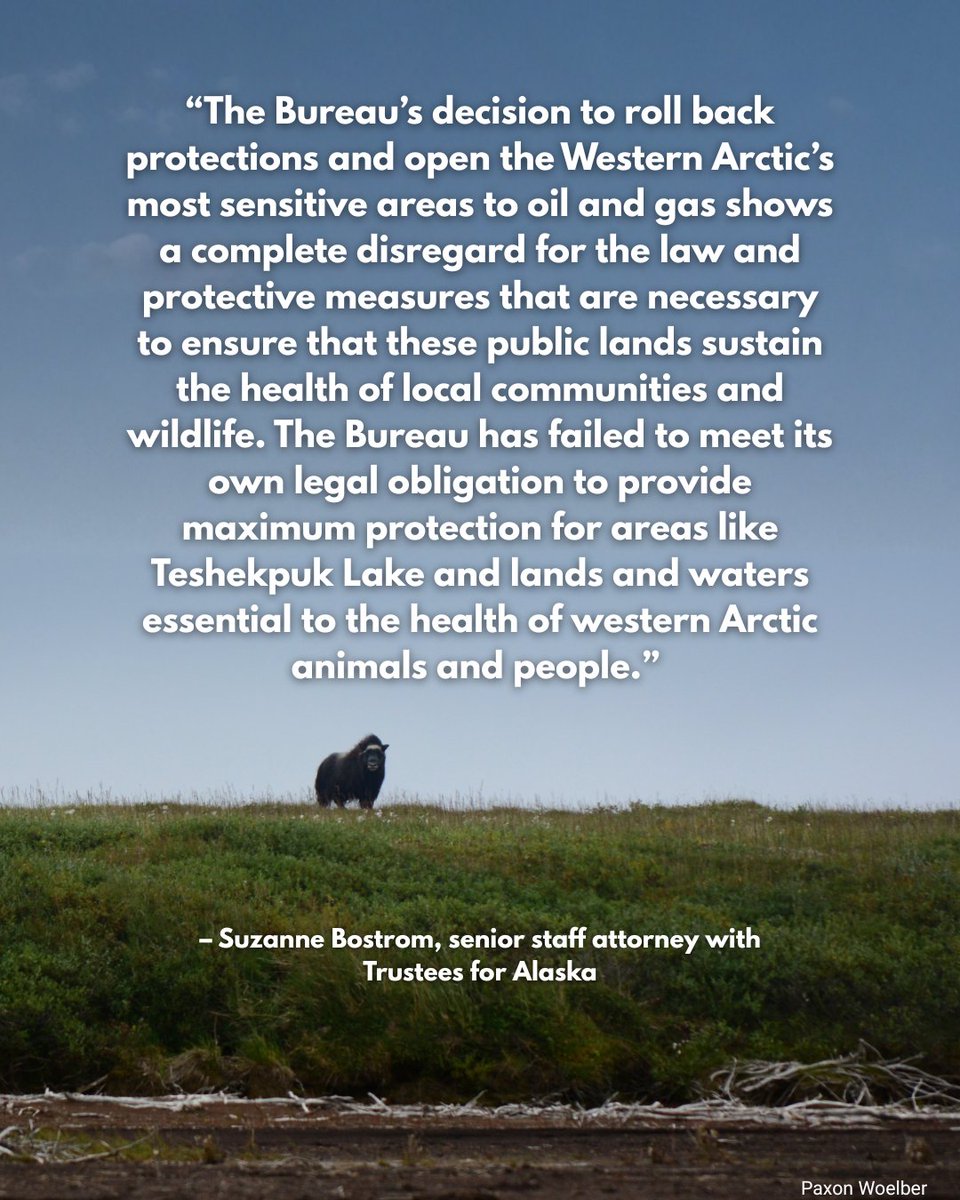 Trustees for Alaska tweet media