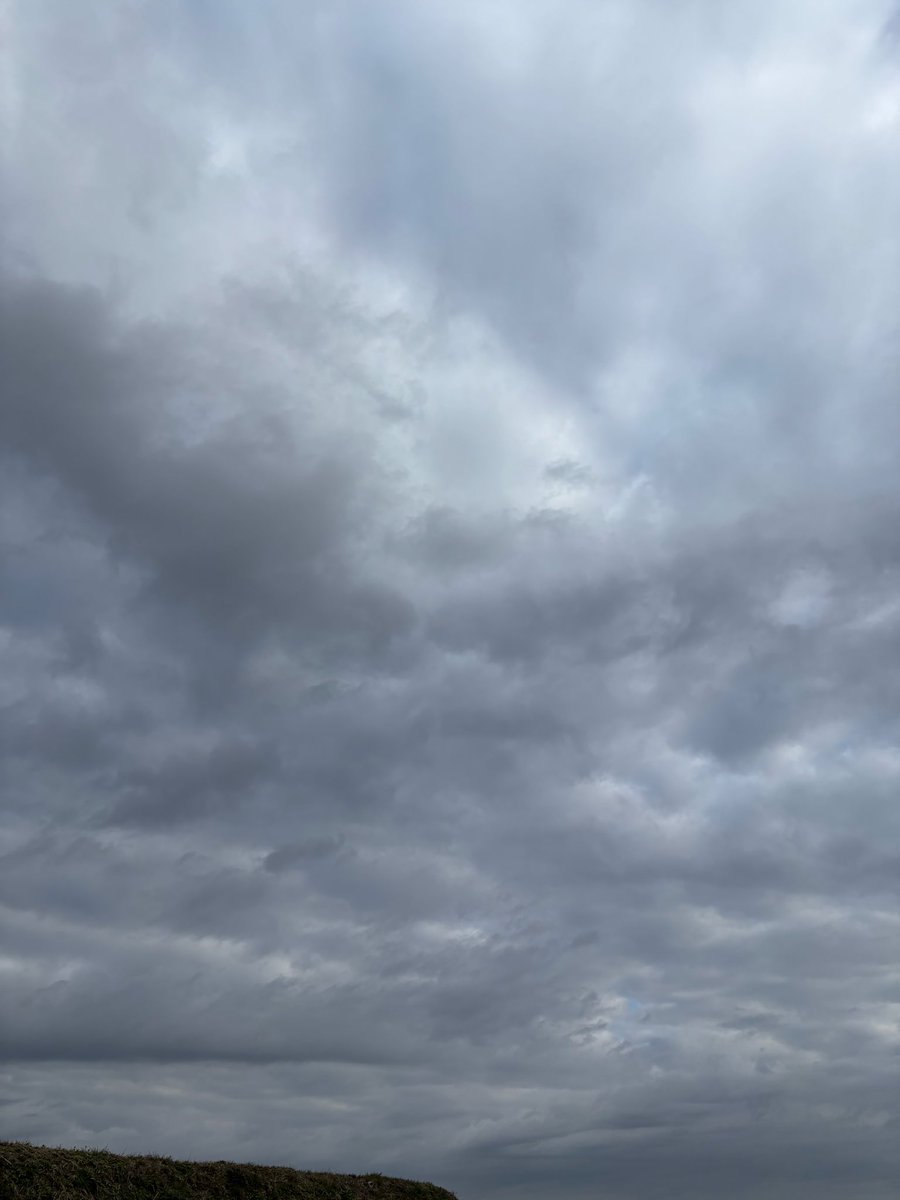 おはようございます☁️

今日はアレルギーの日なんだって🙃
自分はこう見えても結構な
アレルギー体質なんです🤧
まぁ気にしなきゃなんとかなるよねー😽

本日も寒い日ので🥶
心も体もほぐしてご安全🫡