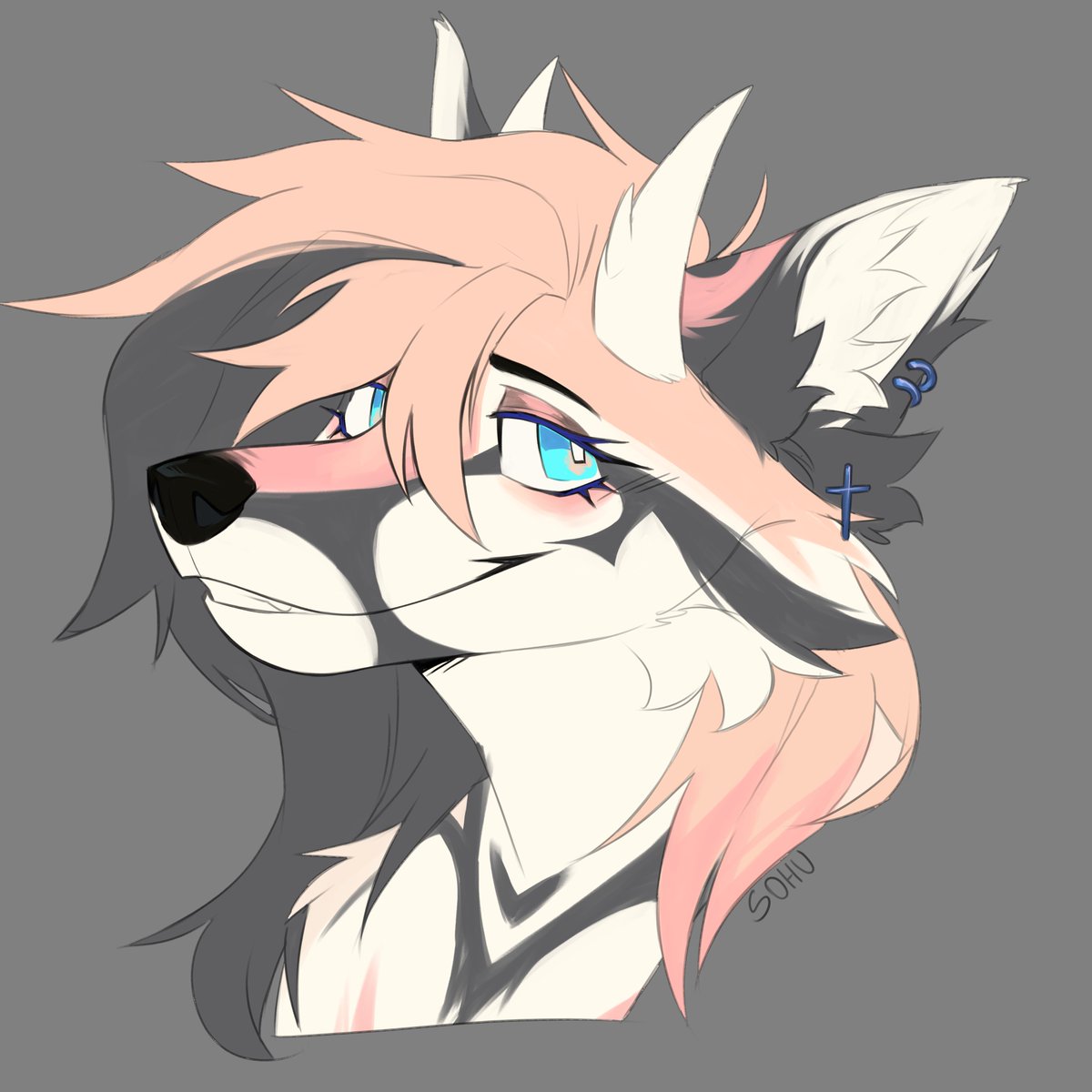 sohu🐀 tweet media