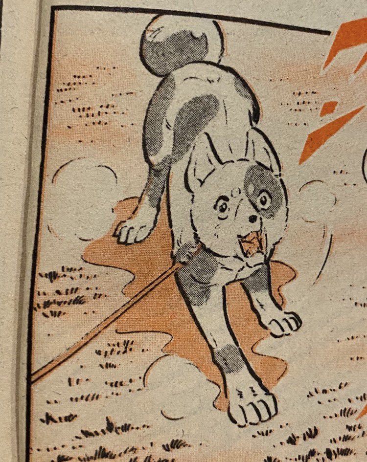 🌌高橋よしひろ先生新連載🌌銀牙伝説レクイエム🌌 (@katukatu210