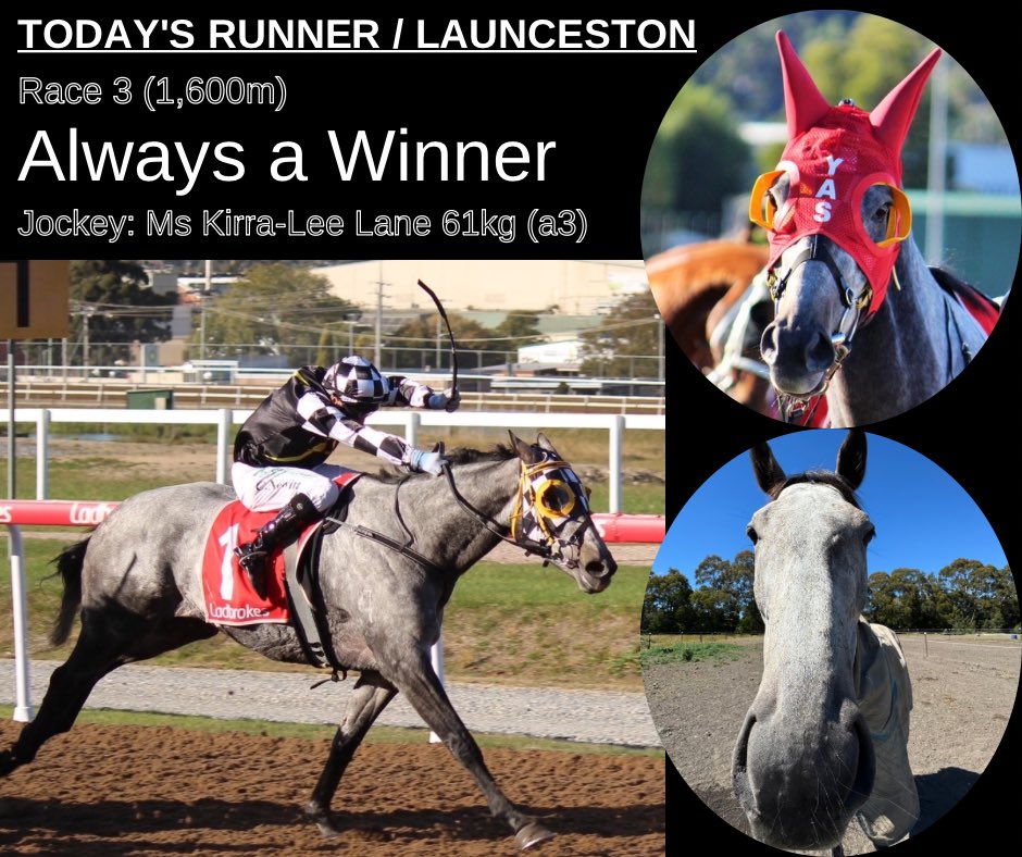今夜はLaunceston競馬場でレースが行われます。Always a winnerが出走を予定しています。Good luck!