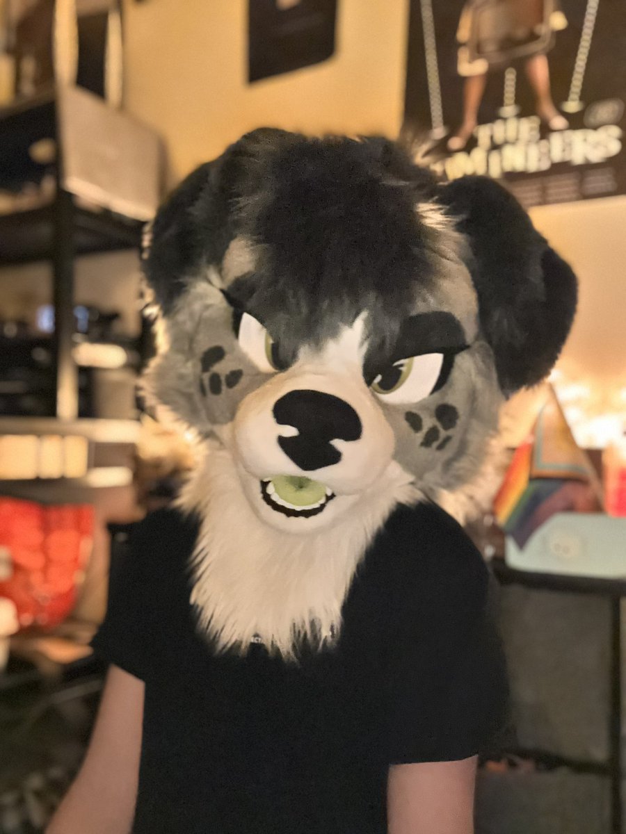 CollieChar's tweet photo. STARES AT U 👁️ https://t.co/dDNUOhmMmh